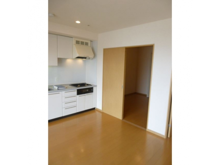 Plaza Tower Kachidoki #3415 | TOKYO APARTMENT INC.