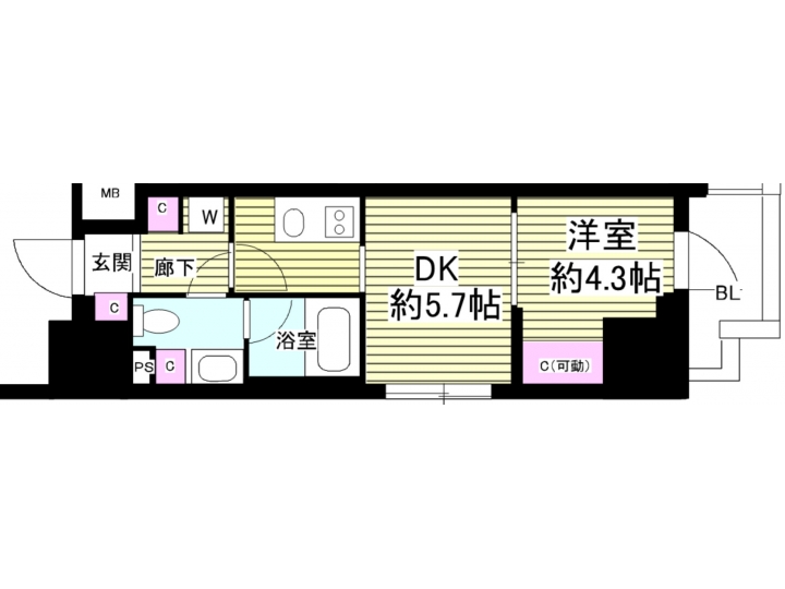room plan