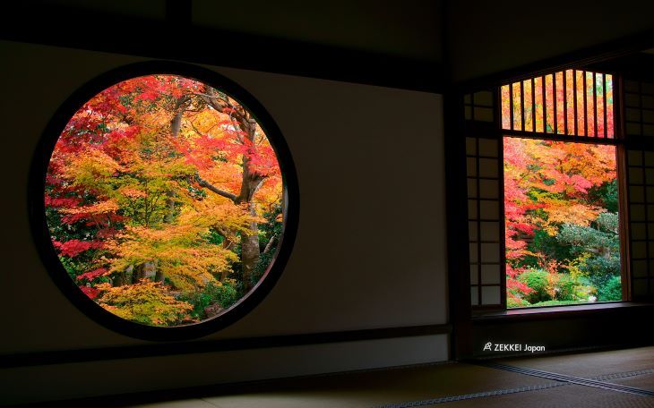 The Charm of Autumn Foliage Viewing in Japan
