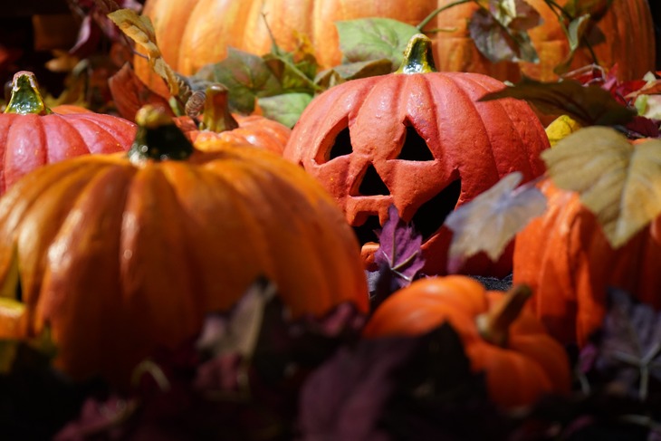 halloween pumpkins.jpg