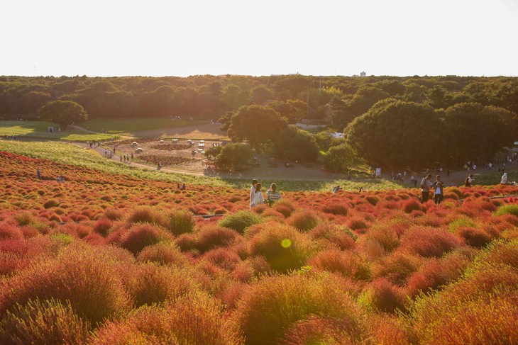 October Weather in Japan: Climate, Typhoons, and Health Tips