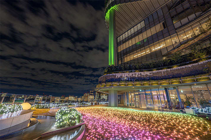 hibiya illumi2024.jpg