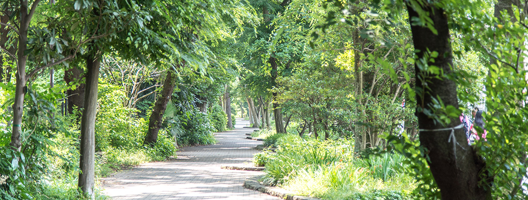 MITAKA