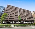 Flat for Sale in Yokohama SK0017 横浜
