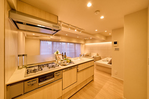 SMN40205-15.jpg